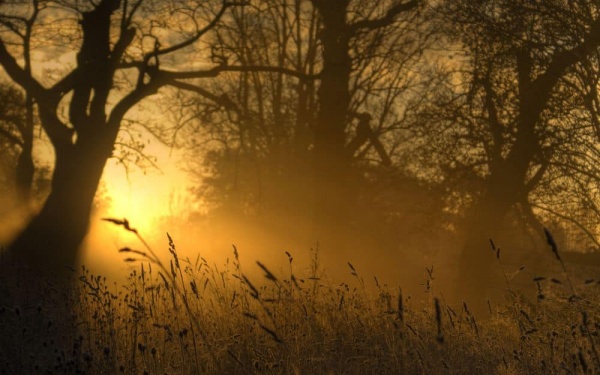 СОЗИДАЮЩАЯ МЫСЛЬ - ГЛАВНОЕ СЕЙЧАС