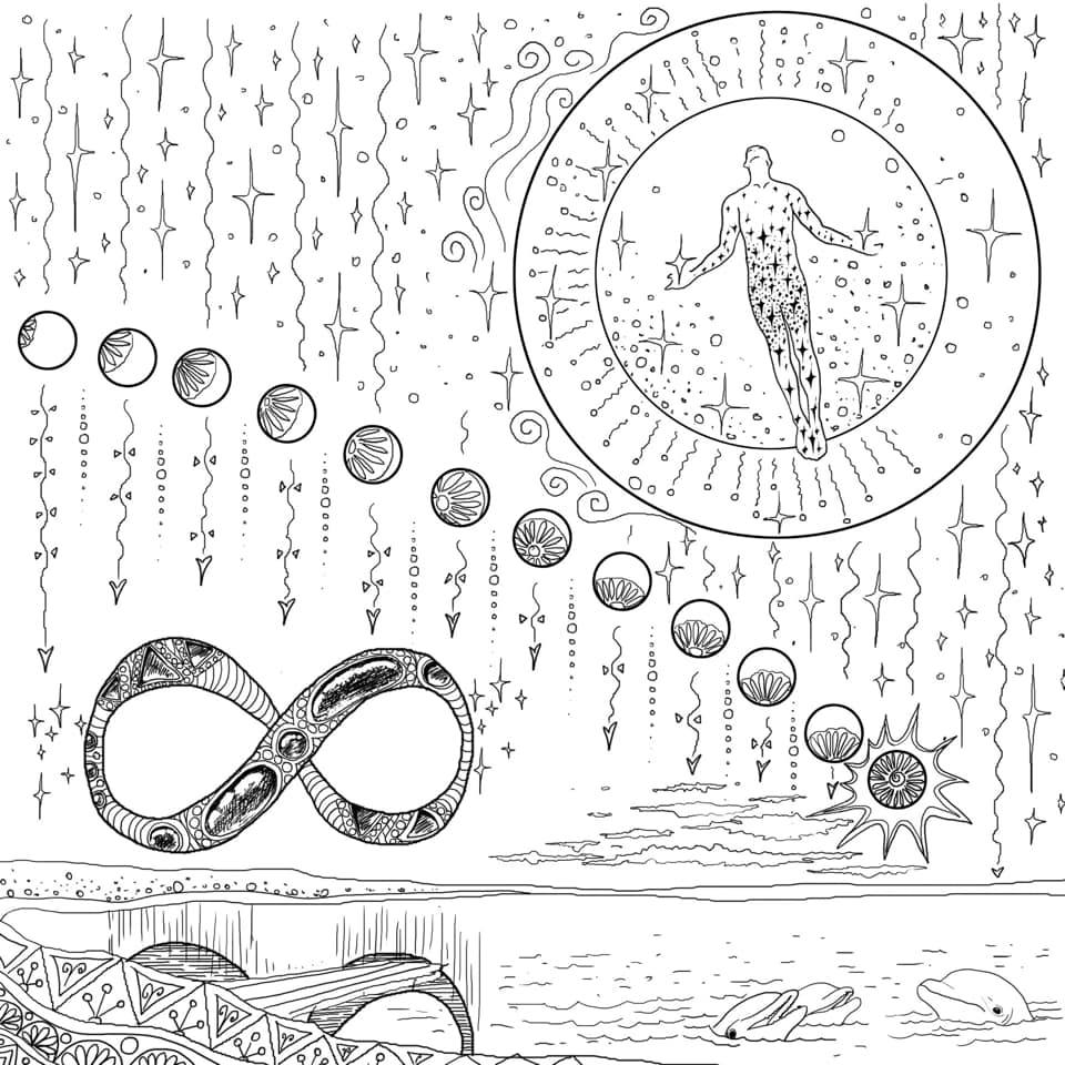 «Охота на Силу». Старт программы