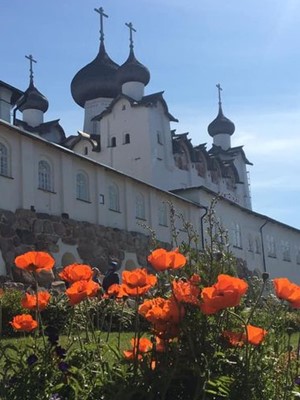 БЕЗЫСХОДНОСТЬ VS ОПТИМИЗМ 