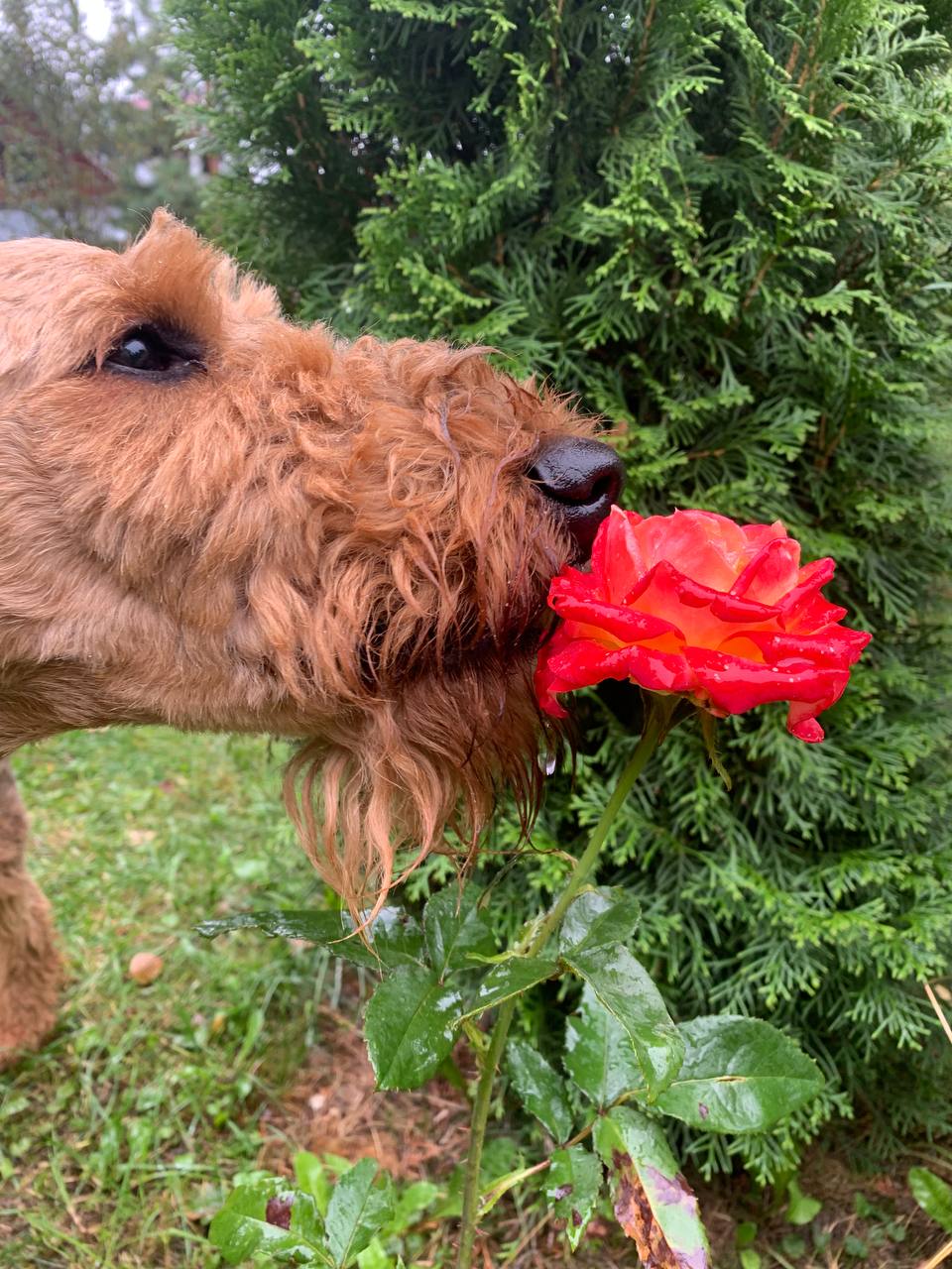 Энергии дня