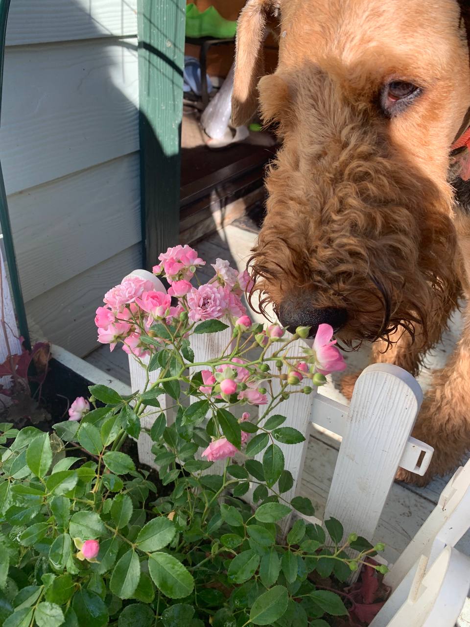 Энергии дня