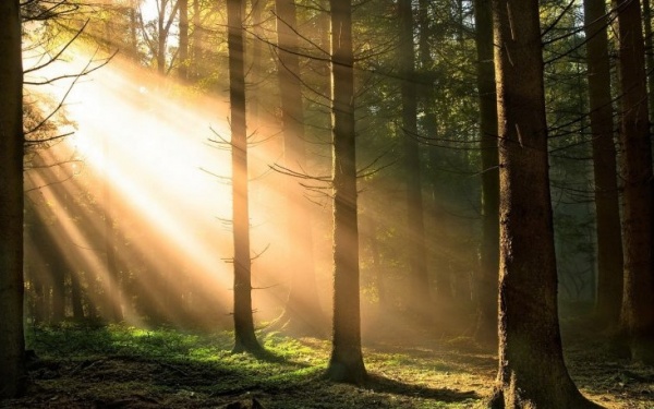 ЭТОГО ВСЕГО НЕ ДОЛЖНО БЫЛО БЫТЬ