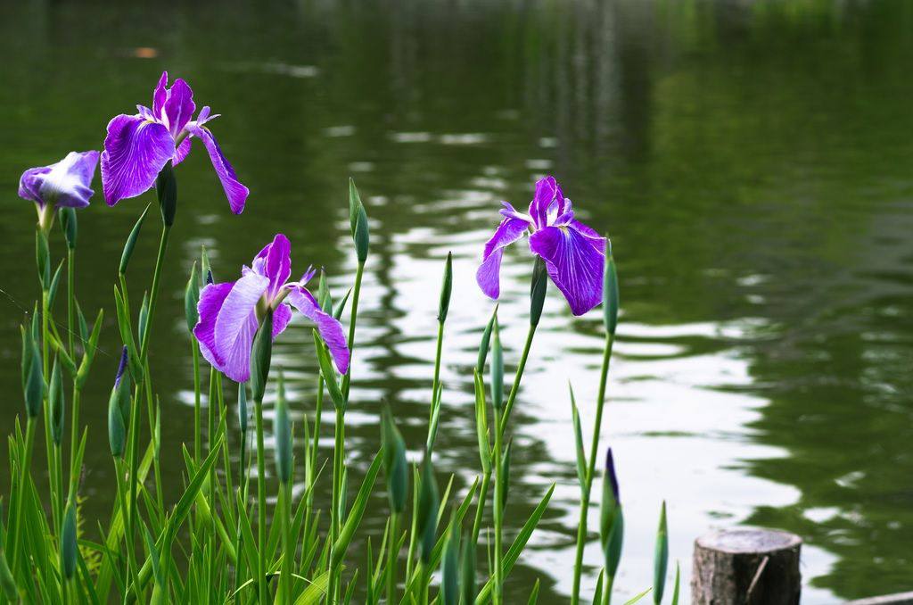 Энергии дня