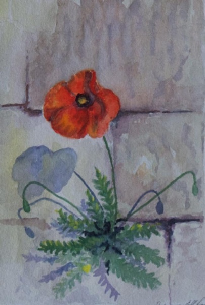 «Научиться жить!»