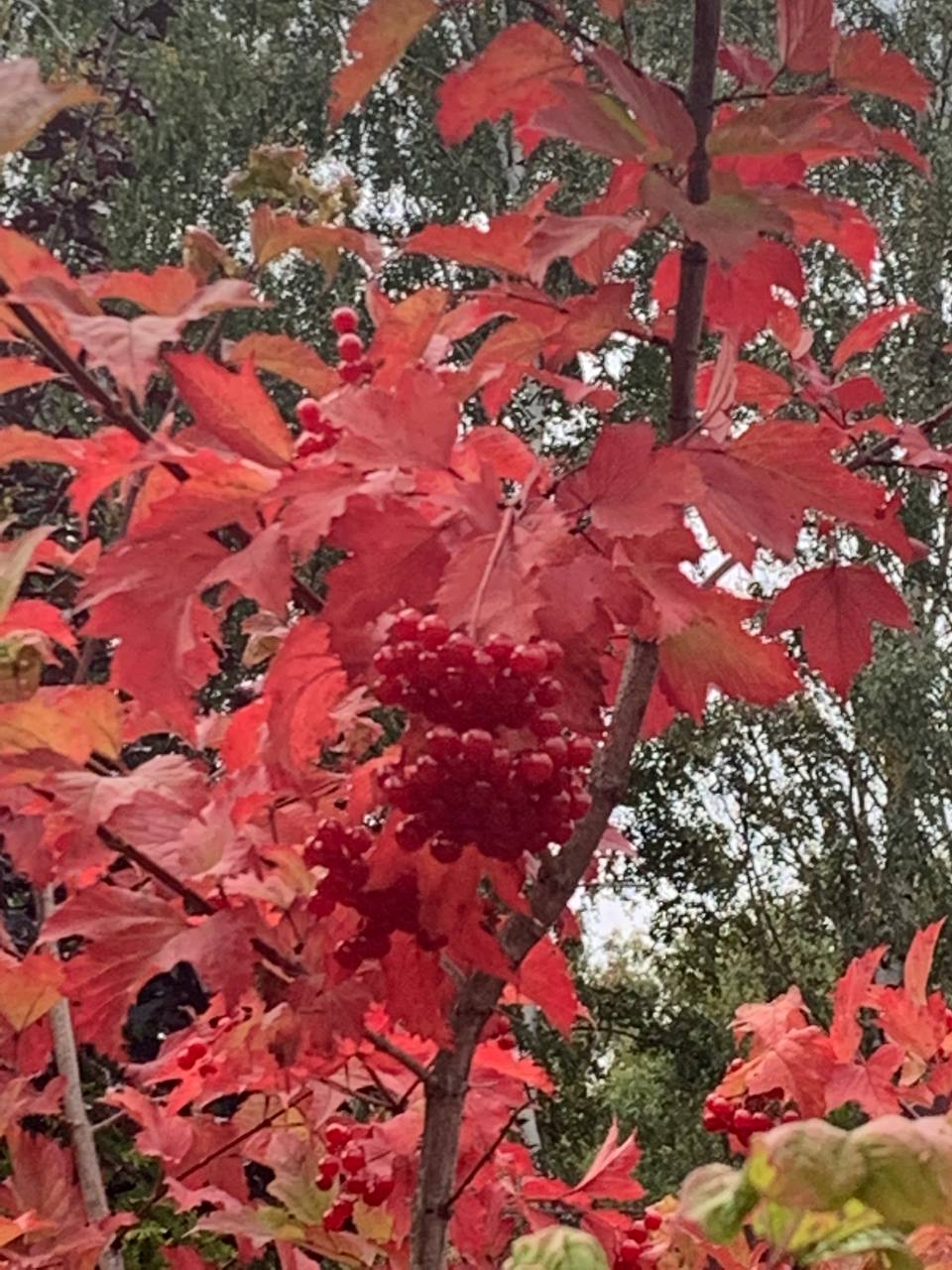 Энергии дня