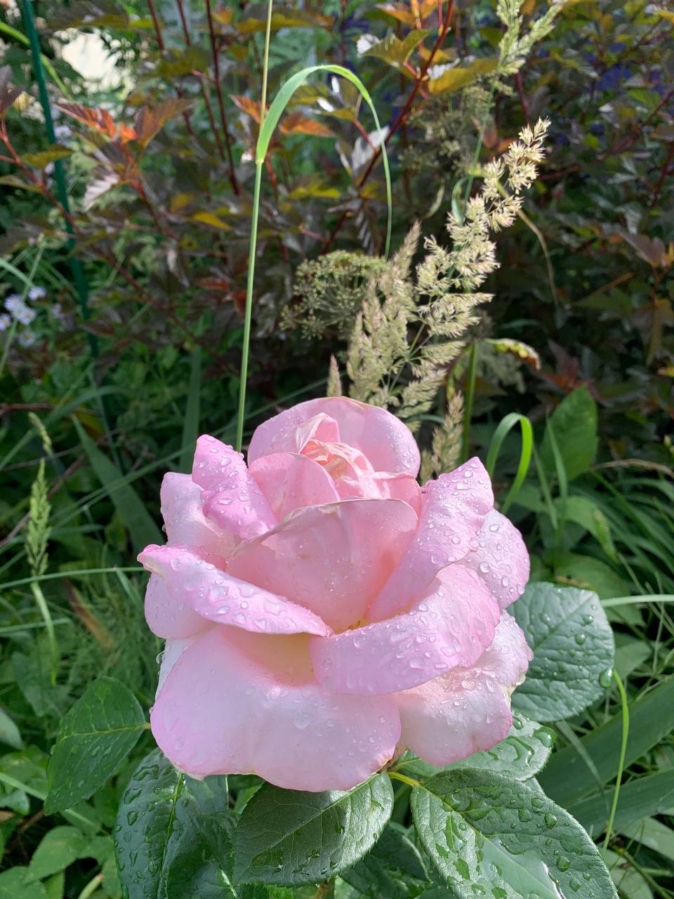 Энергии дня