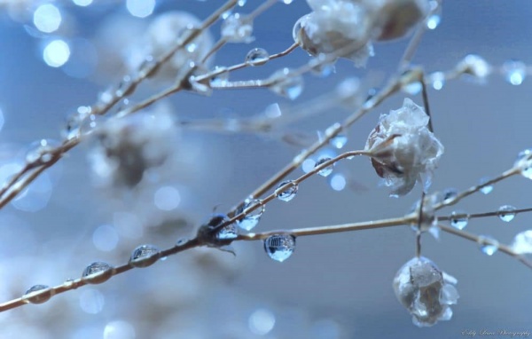 О КАВЫЧКАХ И ЦИТАТАХ