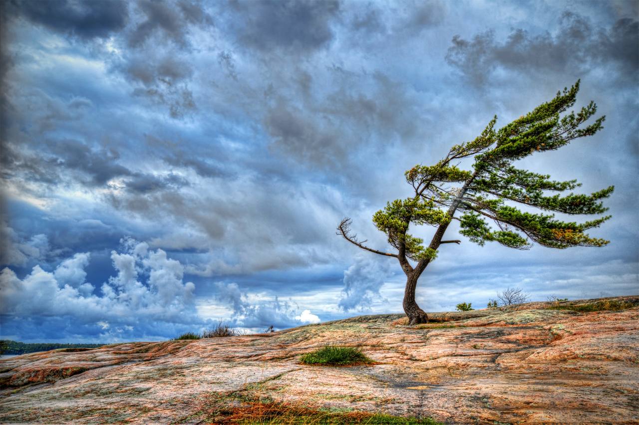 Энергии дня