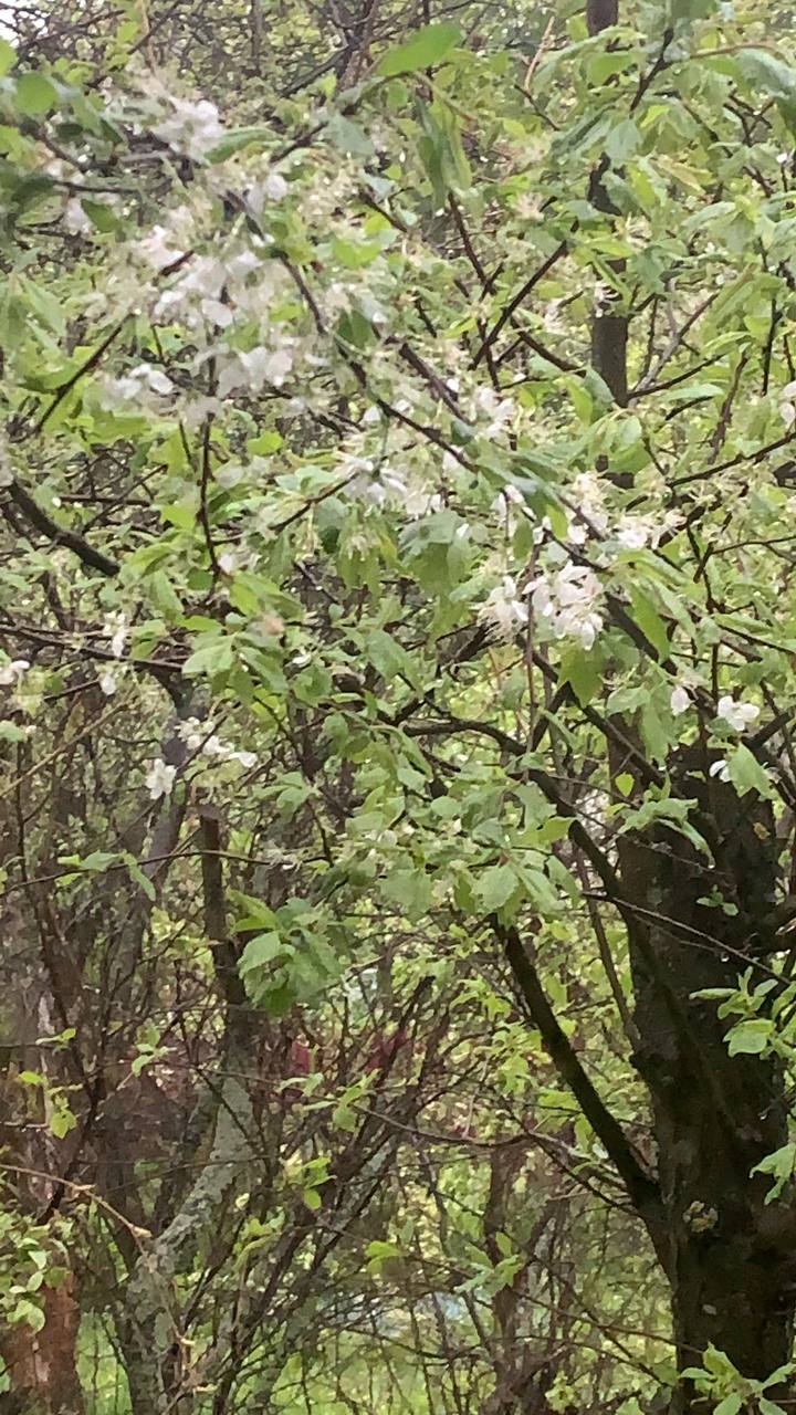 Энергии дня