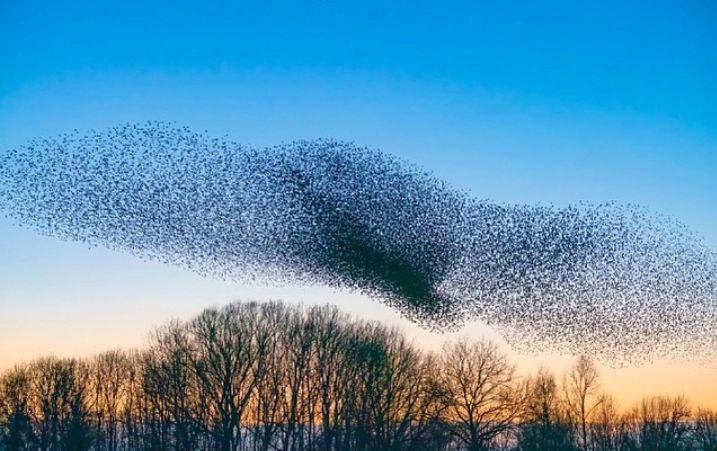 Энергии дня