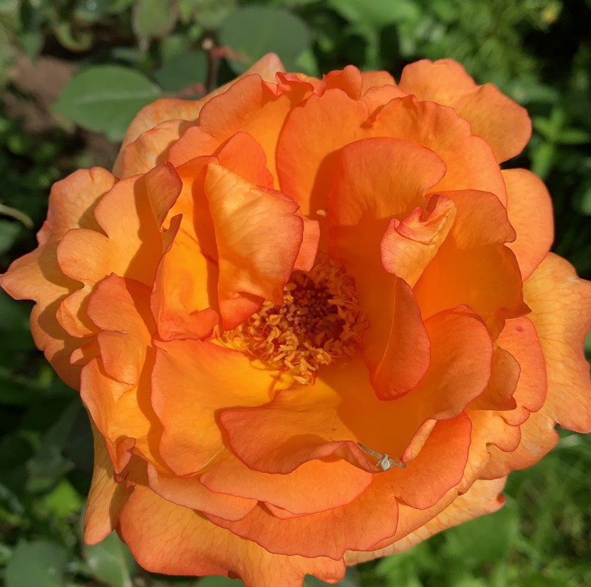 Энергии дня