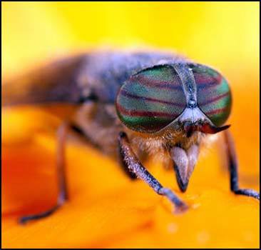 Энергии дня