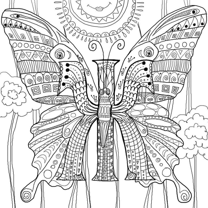 Солярная программа про Равновесие