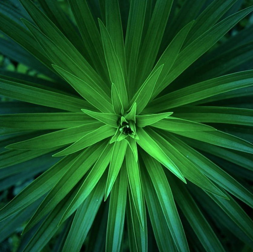 Энергии дня