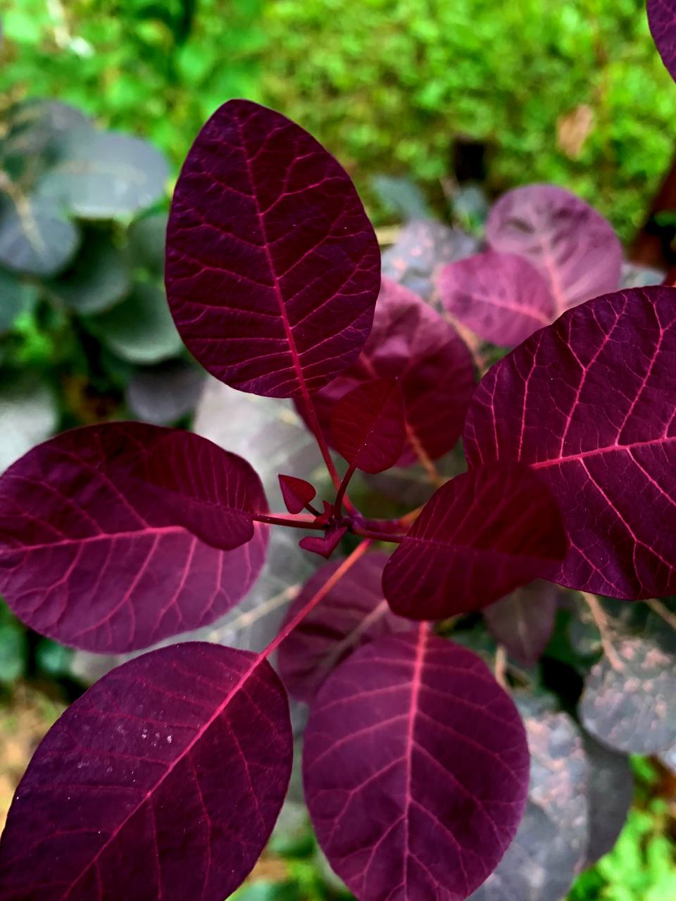 Энергии дня