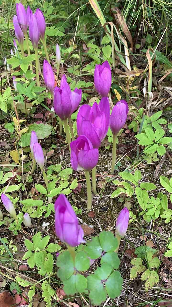 Энергии дня