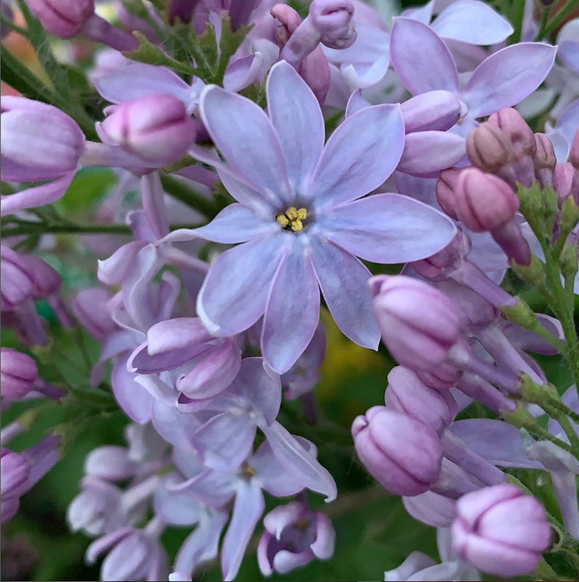 Энергии дня