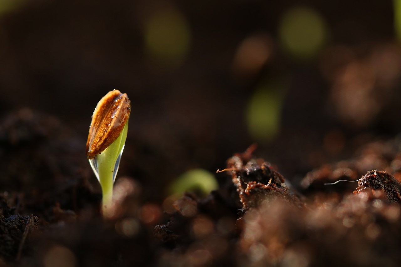 Энергии дня